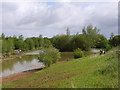 Fishing lake at Frobury Farm in RG20 4SX