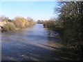 River Severn at Maisemore, looking north in GL2 8FL