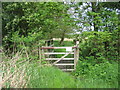Footbridge at Feckenham Wylde Moors Nature Reserve in B96 6JL