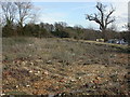 Buckland, waste ground in SO41 9ES