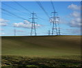 Open field and pylons in IP8 4JZ
