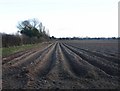 Ploughed field alongside A3400 in CV37 8LZ