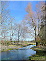 River Bourne at Newton Tony in SP4 0HH
