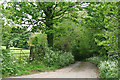 Churchstanton: lane to Court Farm in TA3 7QG