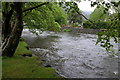 Afon Glaslyn, Beddgelert in LL55 4NB