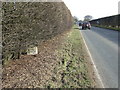 Old Milestone in NR13 6NH