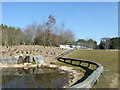 Wildlife Pond and Reptilian Enclosure, Avon Heath Country Park in BH24 2FX