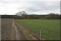 Footpath by the fence in RG8 8EF