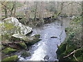 River Cefni in the Dingle in LL77 7QA