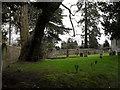 A verdant churchyard at St James, Stedham in GU29 0NG