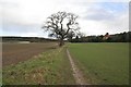 Tree by the footpath in RG8 8EF