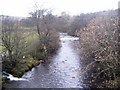 River Wear near Daddryshield in DL13 1LP