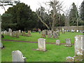Late winter in the churchyard at St James, Stedham in GU29 0NG