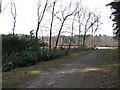 Skirting the edge of a clearing in PE33 0DQ