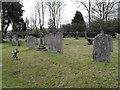 Late winter in the churchyard at St James, Selham in GU28 0PN