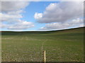 Broughton Down our very own Windows XP ? in SO20 8DA