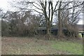 Pillbox behind Nunhide in Berkshire