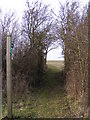 Segmore Lane footpath to Mill Road in IP17 2ES