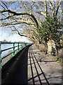 Riverside path in Bishops Park in SW15 1HS