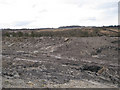 Clay waste on Rixey Park site in TQ12 3RR