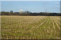 Across the Field, Old Netley, Hampshire in SO19 9LZ