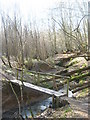 Footbridge on the Tilden Gill in TN30 7DF