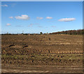 View across ploughed field towards Park Farm in PE33 0SH