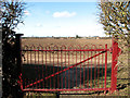 View from the churchyard gate in PE33 0SH