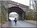 Bridge over the Aysgarth Falls to Carperby road in DL8 3SR