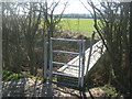 Footbridge near Dumbourne Farm in TN30 7ZP