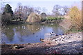 The pigeon pond, Greenwich Park in SE3 7AF