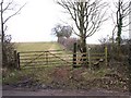 Footpath to Meadow Court Farm from Hampton Wood in CV35 8AT