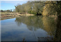 A Pond near Crowmarsh in OX10 8EG