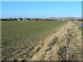 Field south of All Cannings in SN10 3PH
