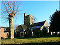 All Saints Church, All Cannings in SN10 3PF
