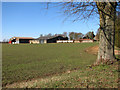 Farm sheds on Game Farm in West Bilney in PE32 1HP