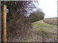 Footpath to Mill Road & Heveningham Long Lane in IP17 2LE