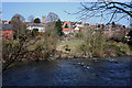 Banks of the River Teme in SY8 1JW