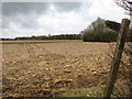 Footpath across a field to Hethersett in Ketteringham
