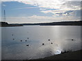 Lake at Queen Elizabeth II Country Park in NE63 9AT