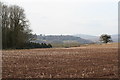 Field of maize stubble at Broad Oak in EX5 3DS