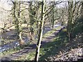 Footpath by the Don at Middlewood in S6 1RX