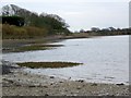 Shoreline near Dell Quay in Appledram