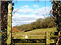 Footpath between Brympton and Chiselborough Hills in TA18 7PR