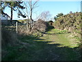 Bournemouth : Grassy Path, Fernheath Valley in BH11 8BE