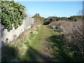 Bournemouth : Footpath at Fernheath Valley in BH11 8BE