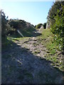 Bournemouth : Fernheath Valley & Path in BH11 8BE