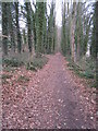 Path by Rooksdown Lane in RG24 9QY