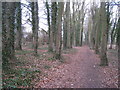 Path alongside Rooksdown Lane in RG24 9QY