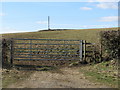 Gate to field south of Brokenborough in SN16 0JB